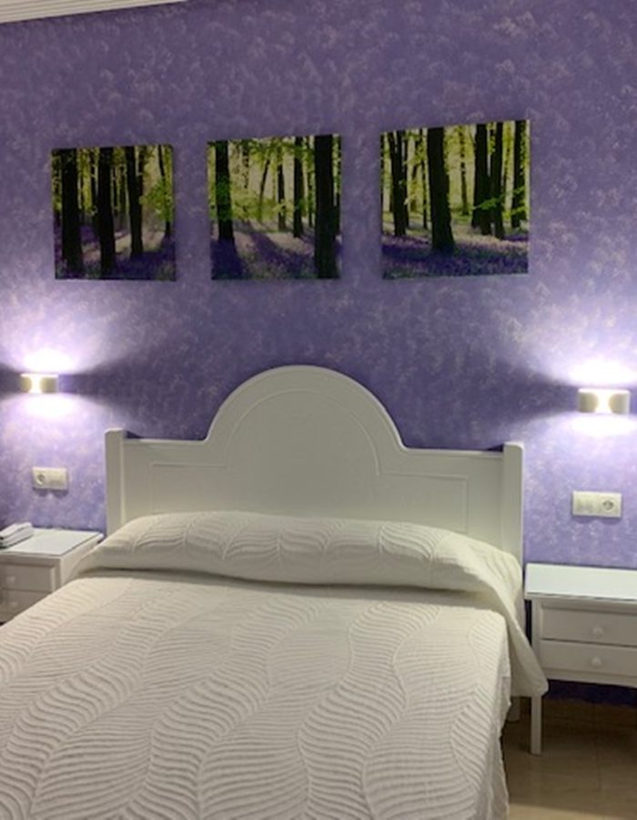 Hotel-Los-Palacios-Habitación matrimonio superior