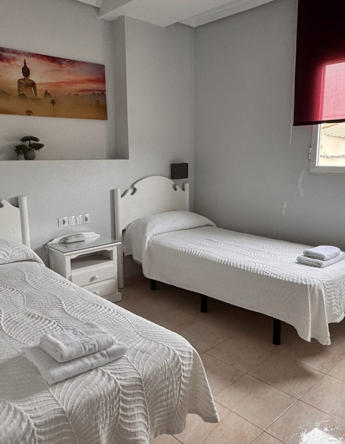 hotel-los-palacios-formentera-del-segura-habitacion-doble-dos-camas (3)